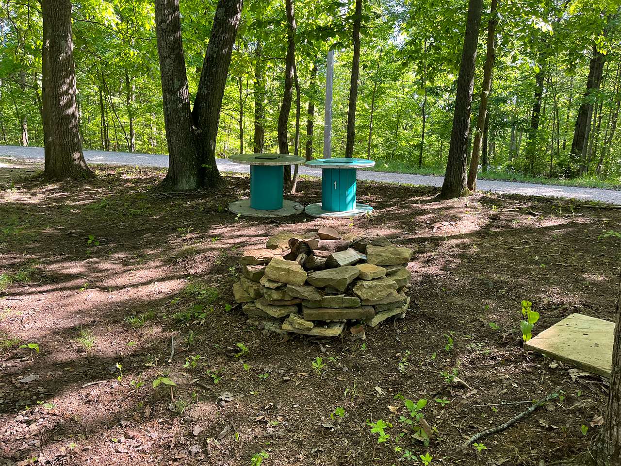 Picture of the site