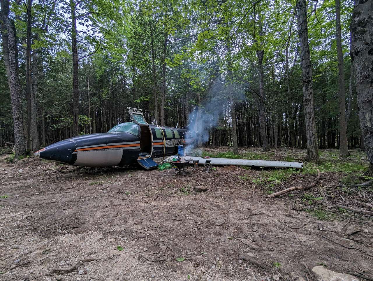Picture of the site