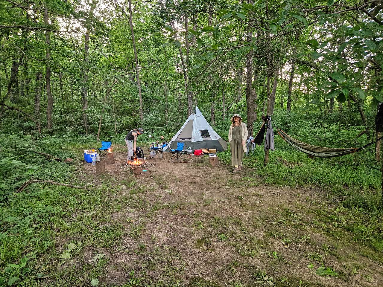 Picture of the site