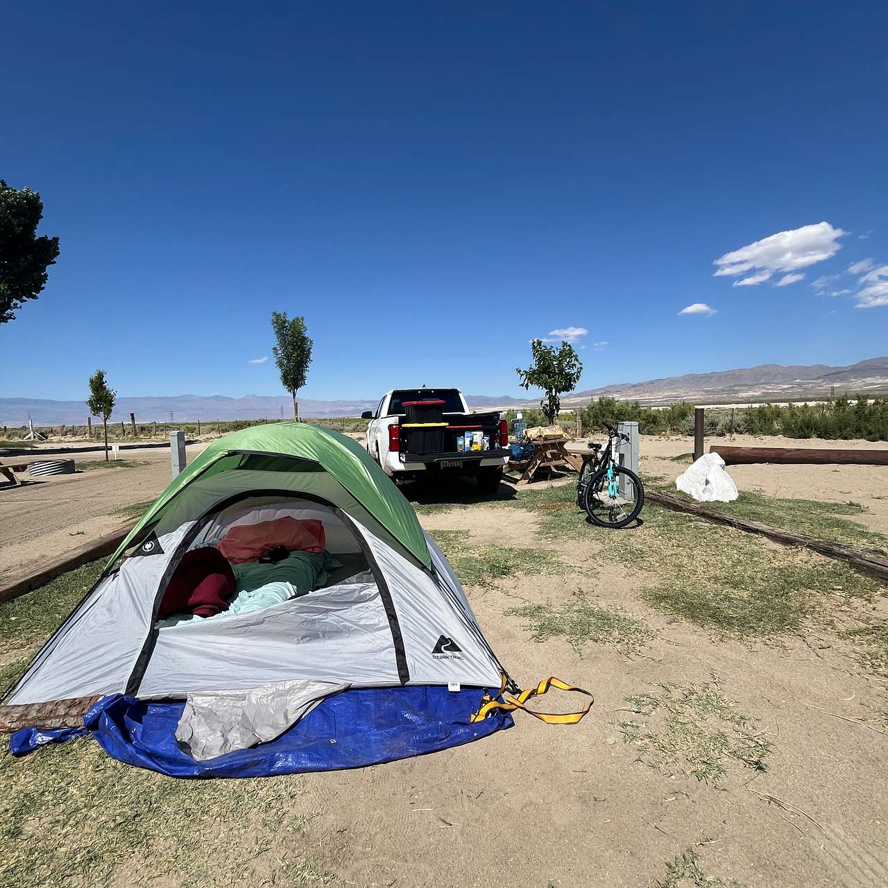 Picture of the site