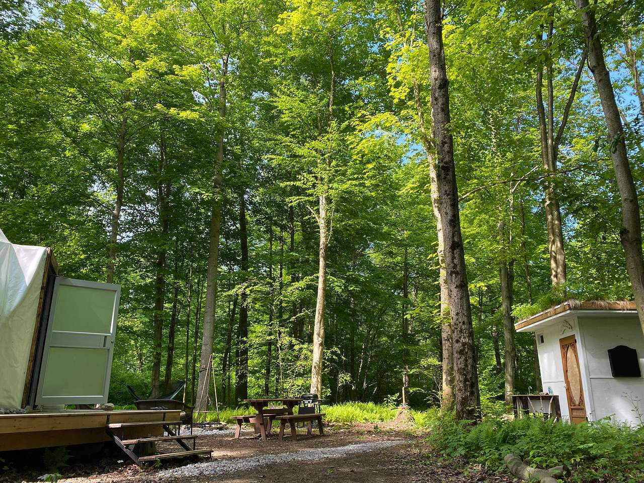 Picture of the site