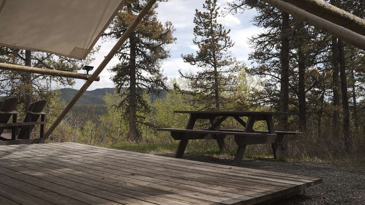 Picture of the site