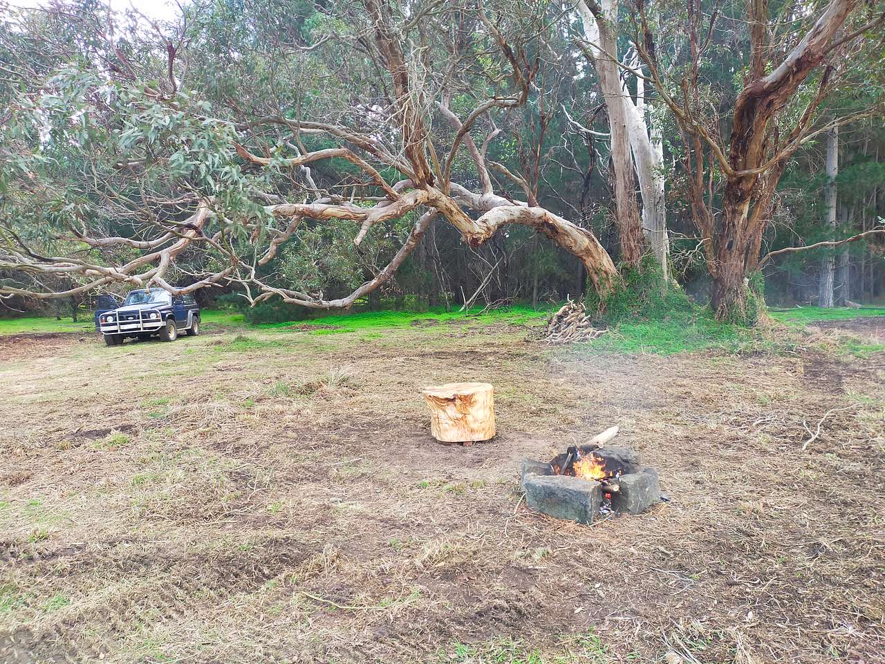 Picture of the site