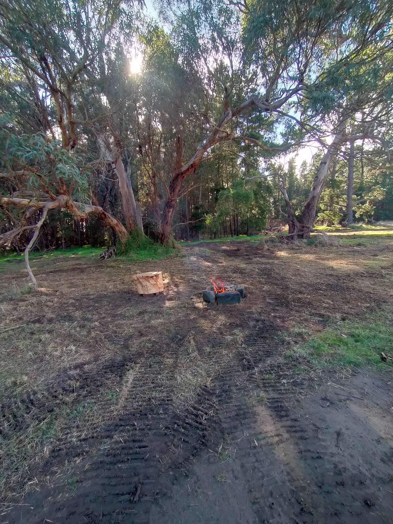 Picture of the site