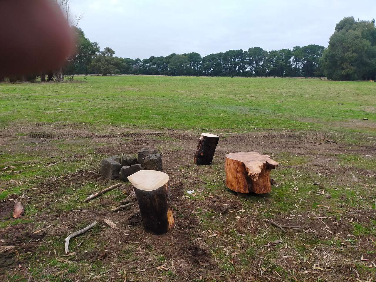 Picture of the site