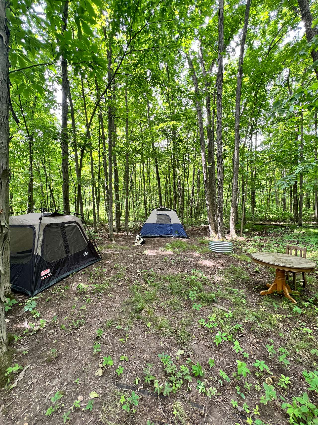 Picture of the site