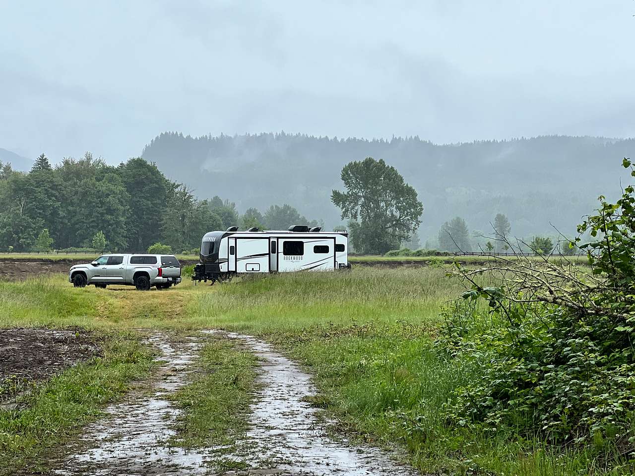 Picture of the site