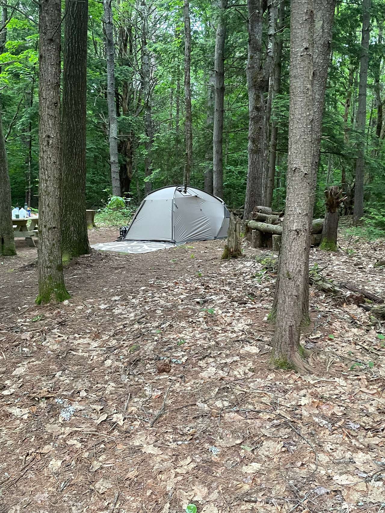 Picture of the site