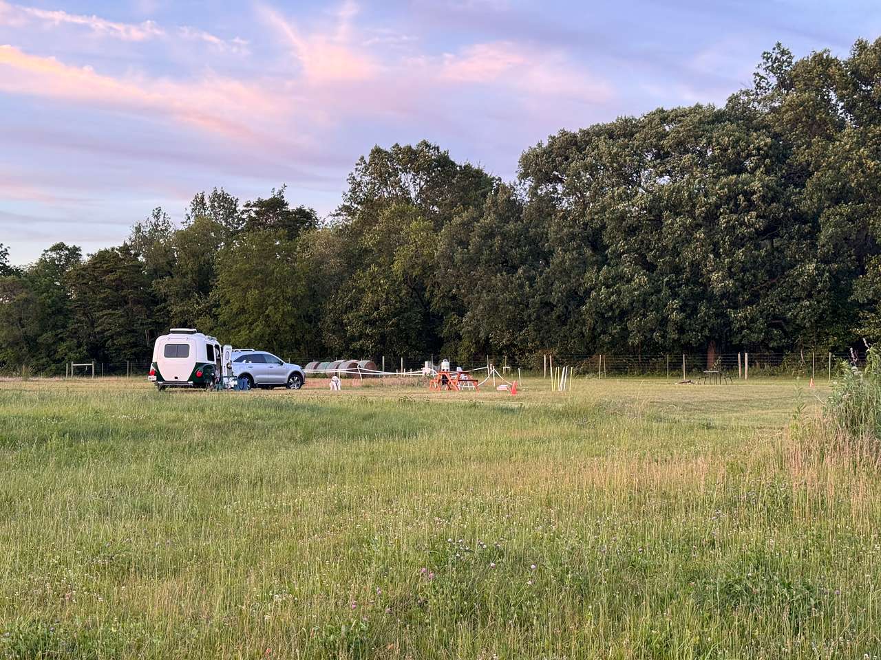 Picture of the site