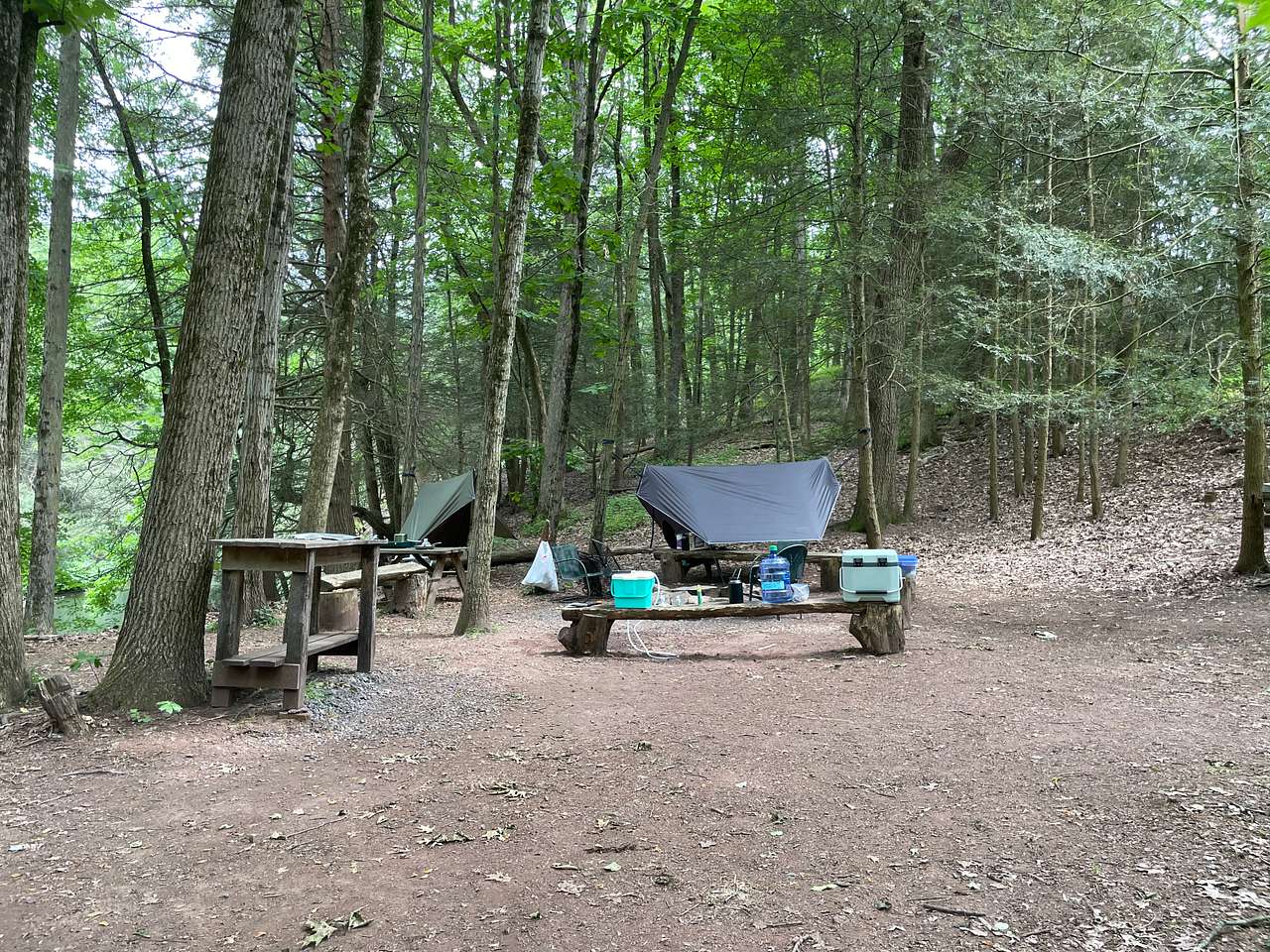 Picture of the site