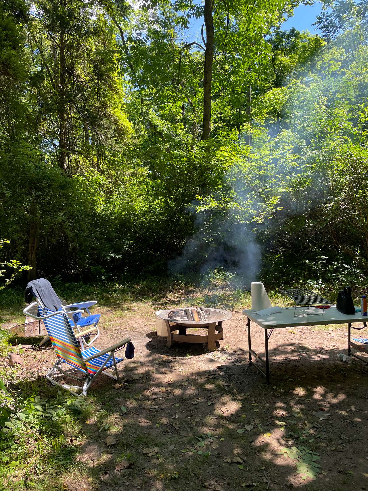 Picture of the site