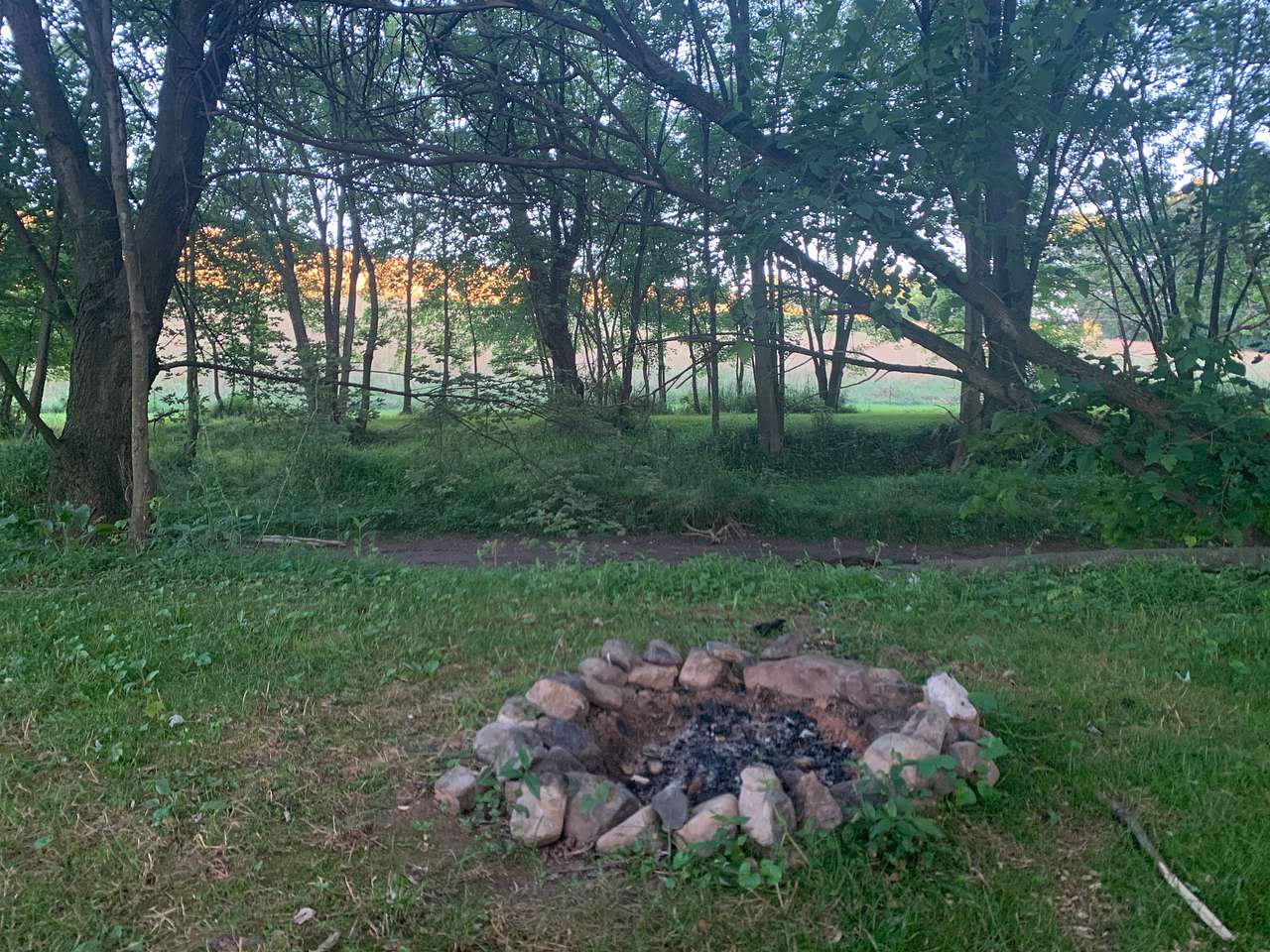 Picture of the site