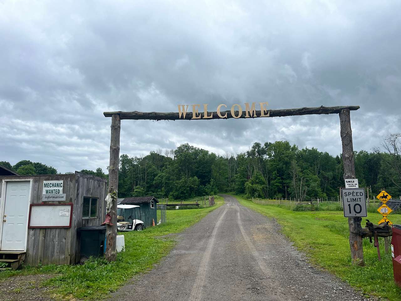 Picture of the site