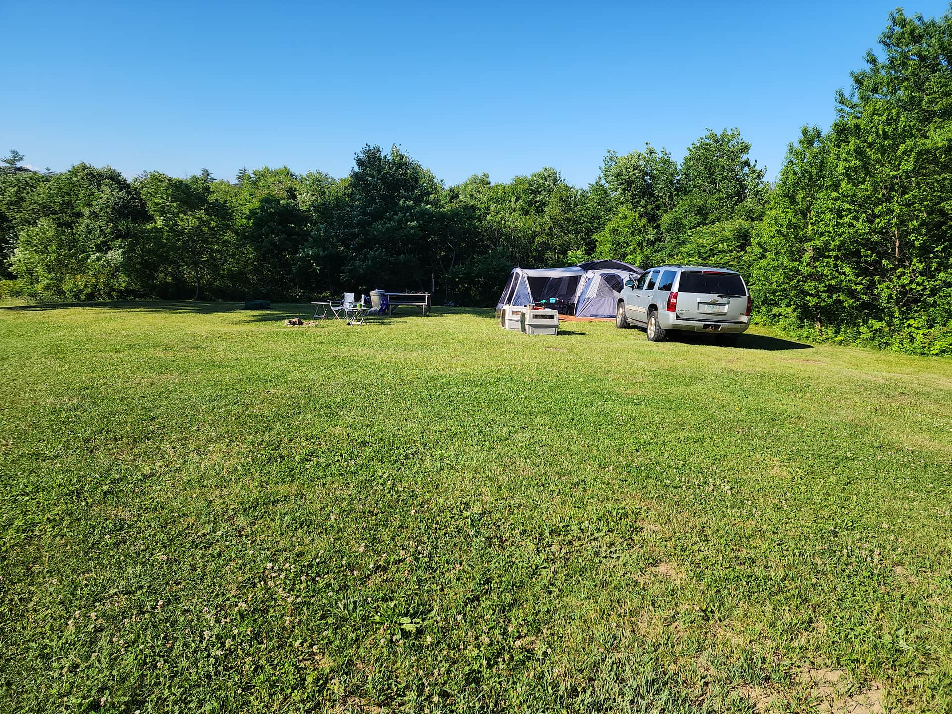 Picture of the site