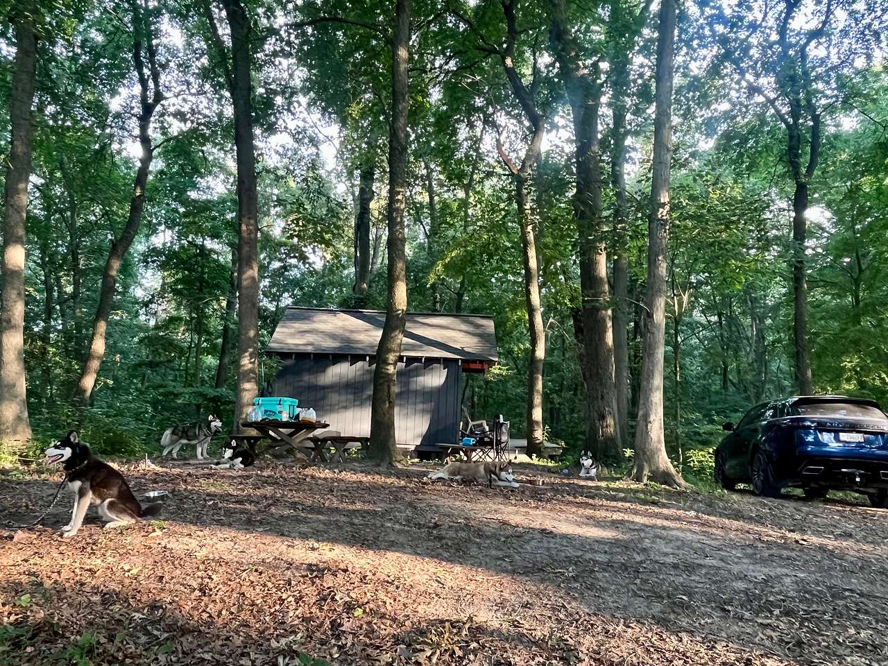 Picture of the site