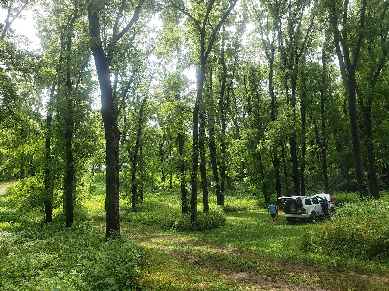 Picture of the site