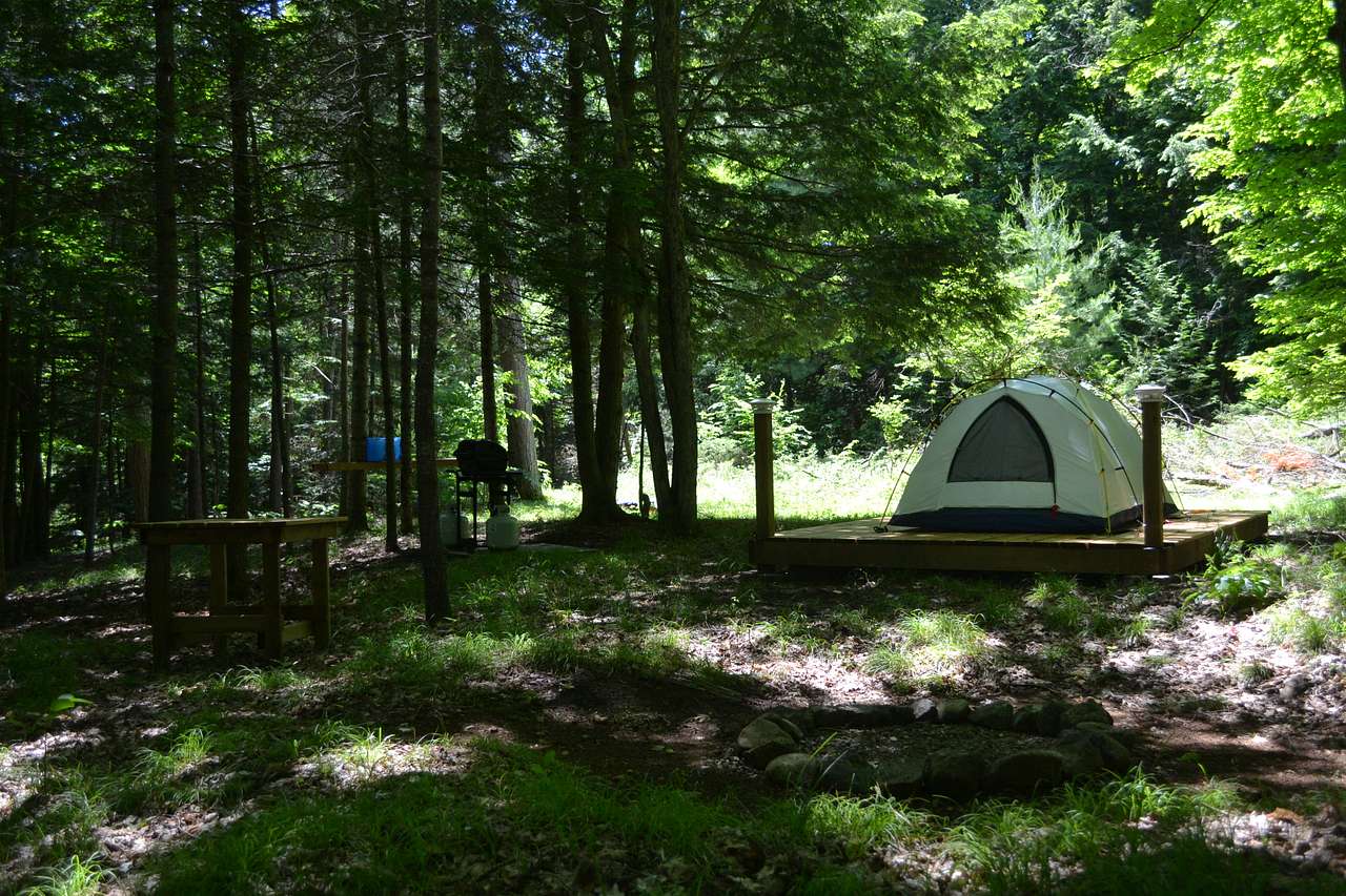 Picture of the site