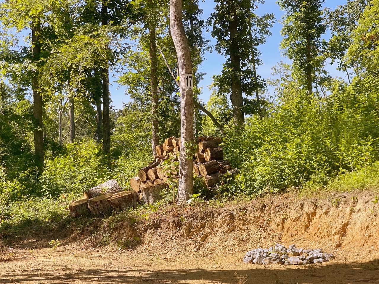 Picture of the site