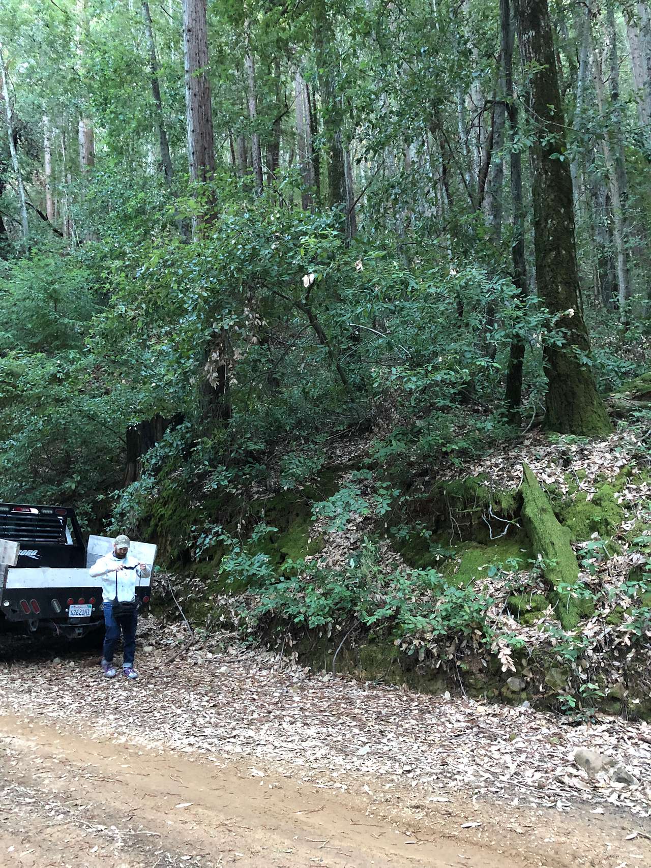 Picture of the site