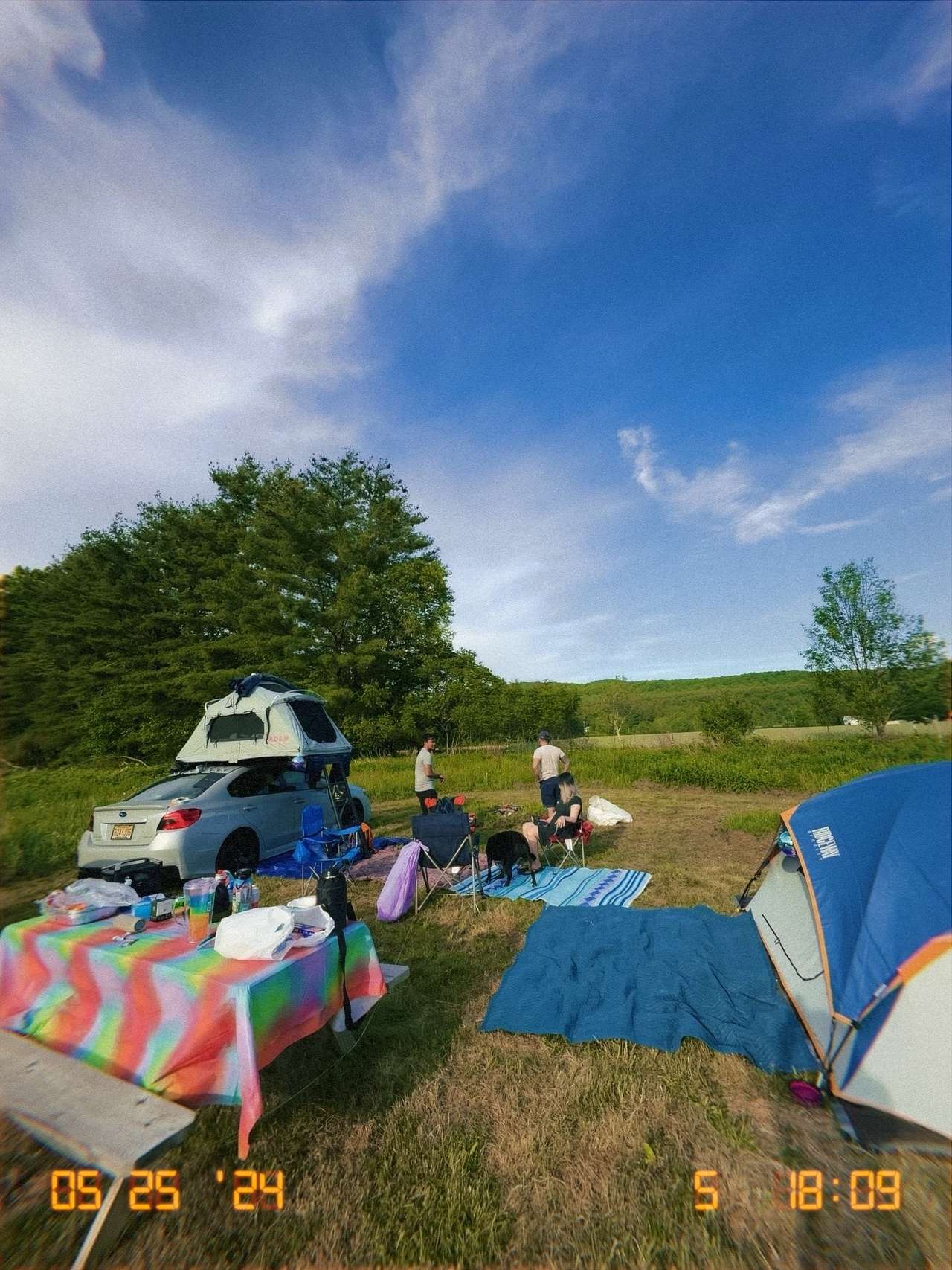 Picture of the site