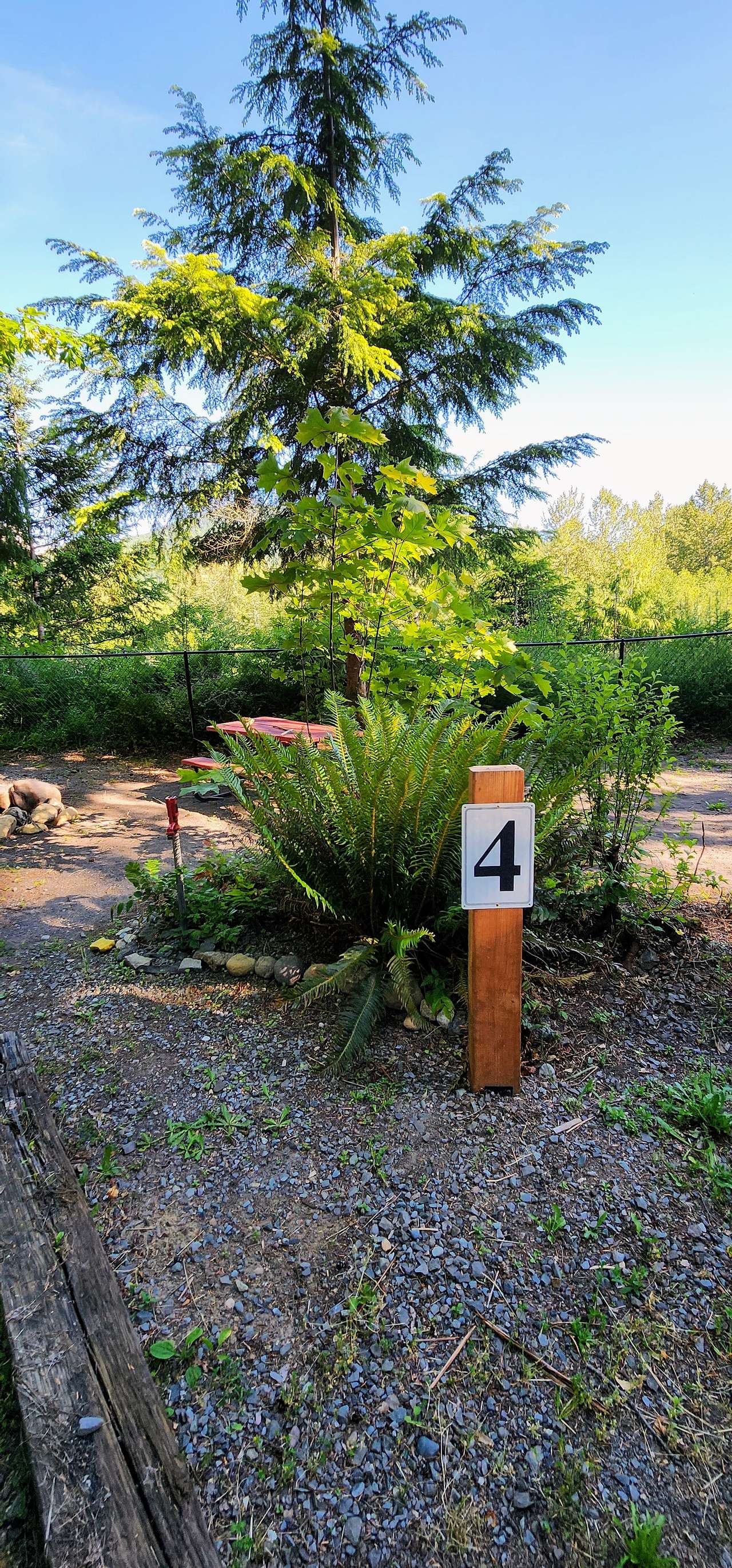 Picture of the site