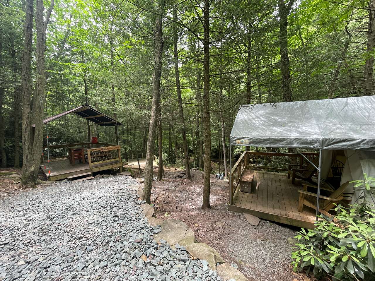 Picture of the site