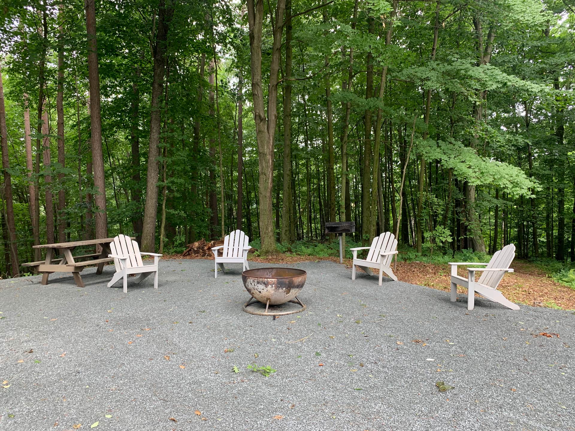 Picture of the site