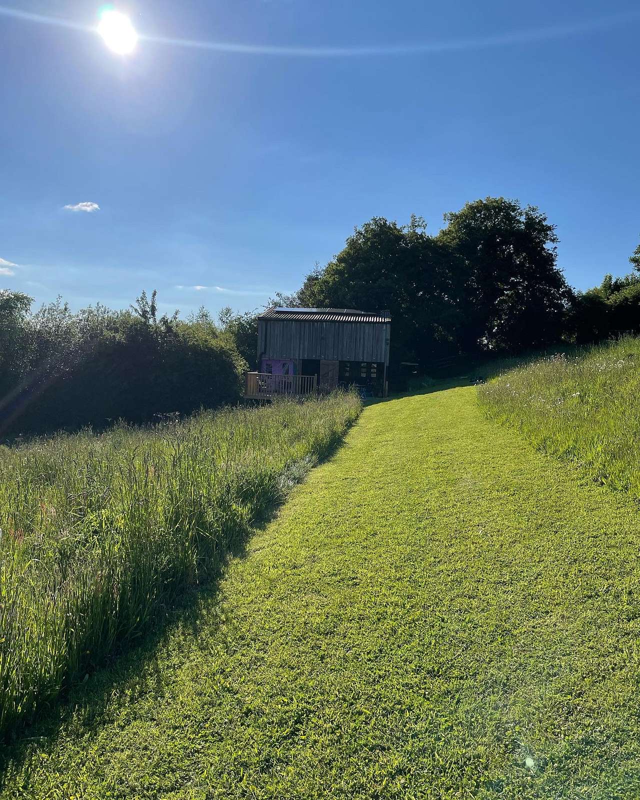 Picture of the site