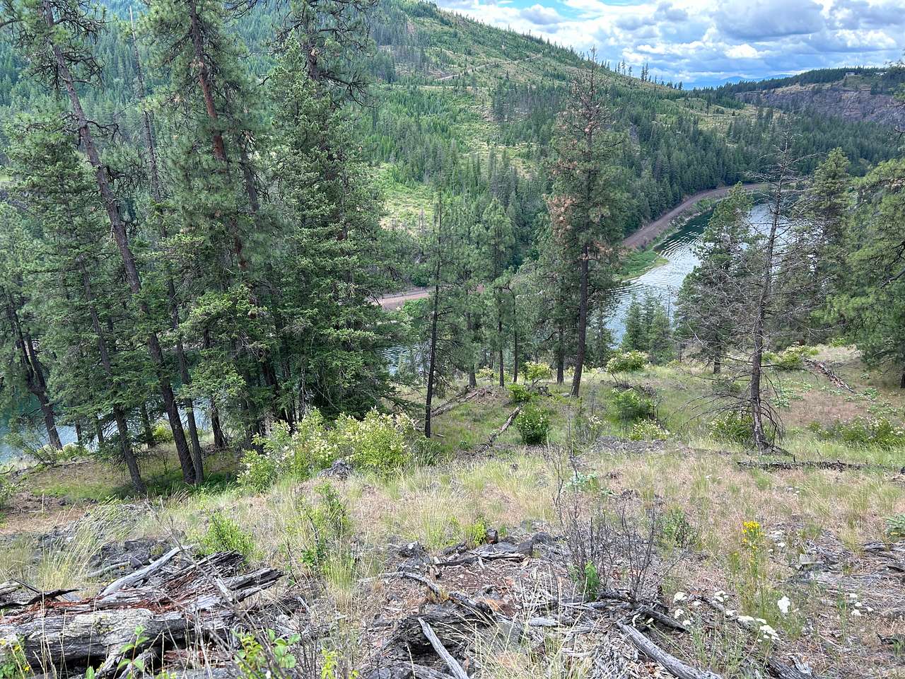 Picture of the site