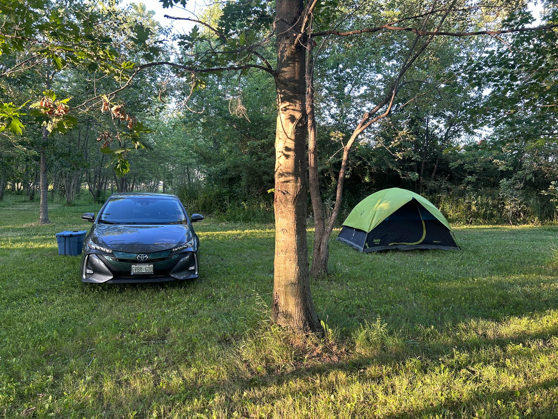 Picture of the site