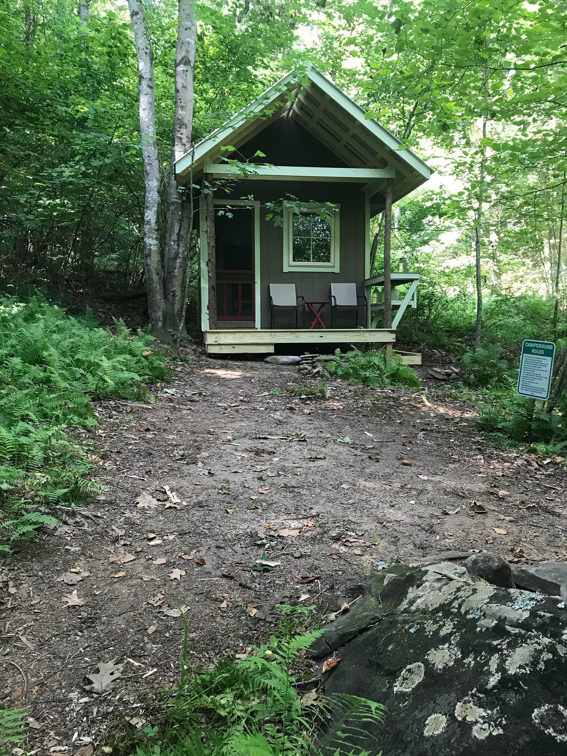 Picture of the site