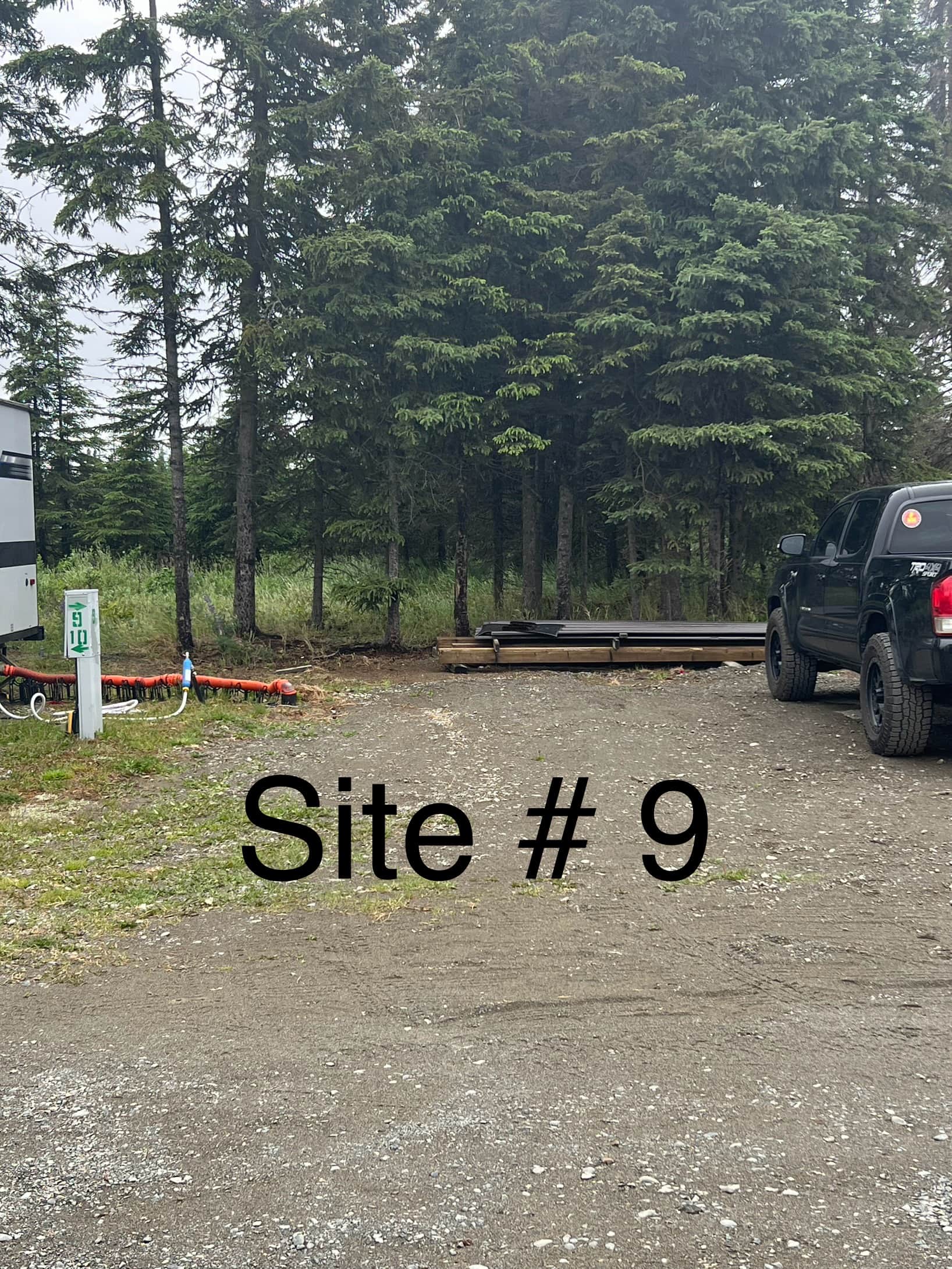 Picture of the site