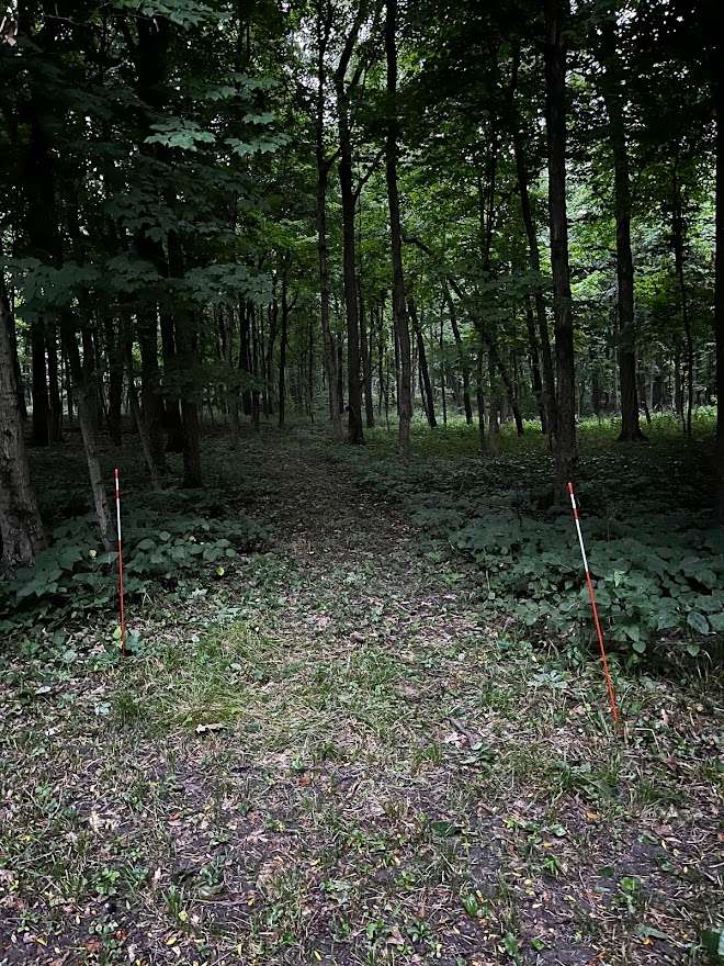 Picture of the site