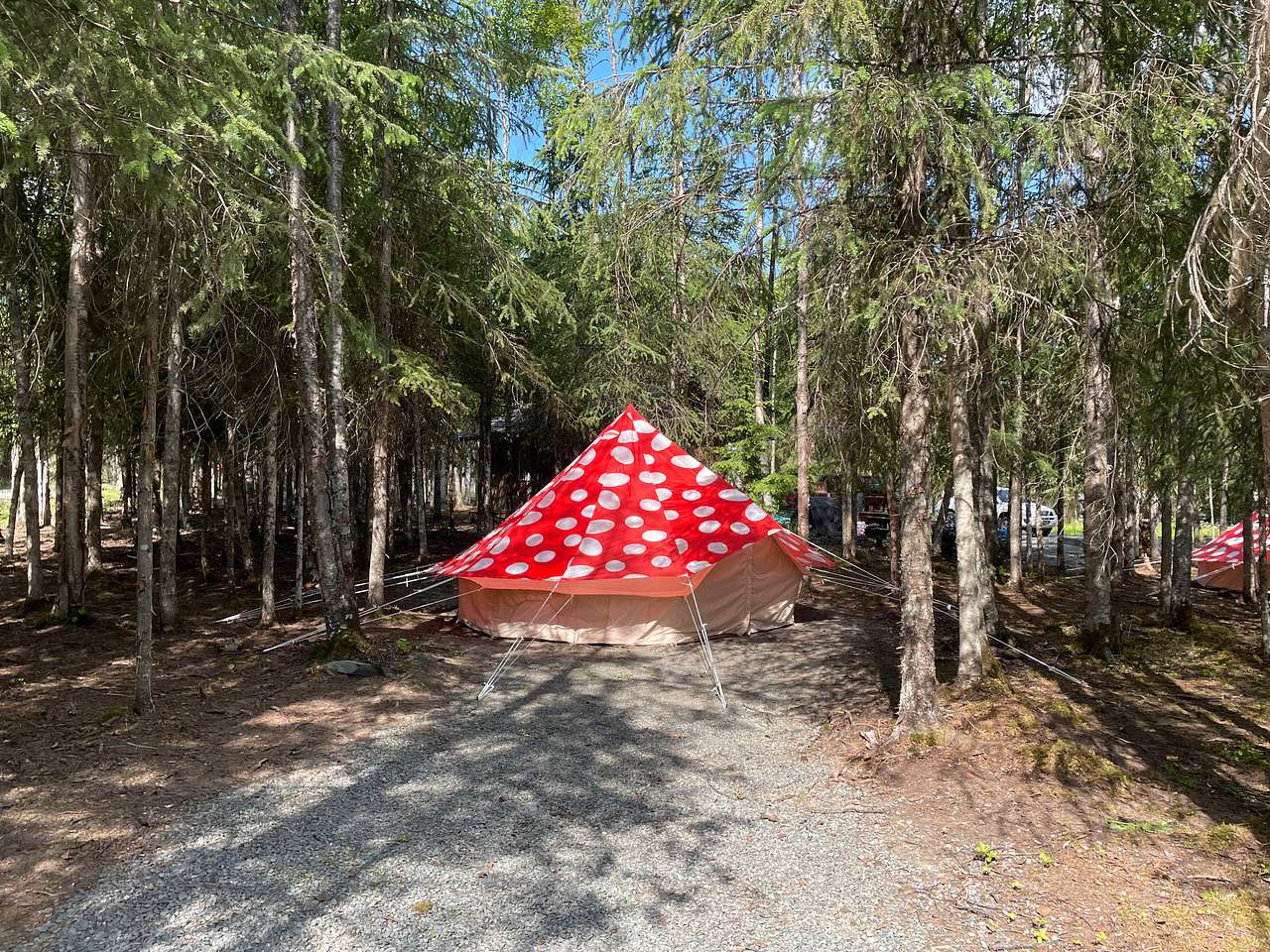 Gnome Dome & Mushroom Room Hope AK - Hipcamp in Hope, Alaska