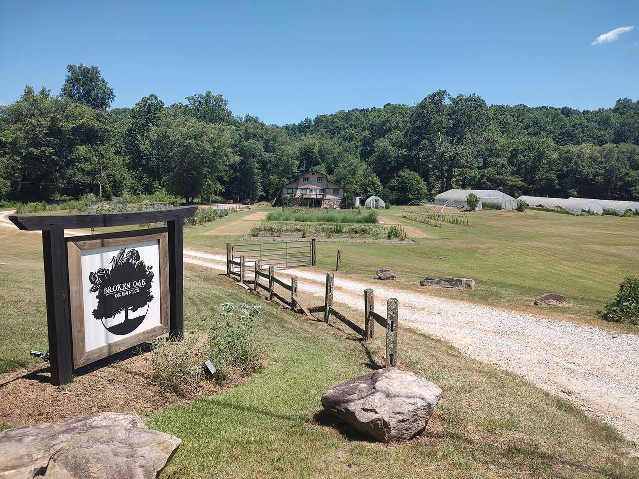 Picture of the site