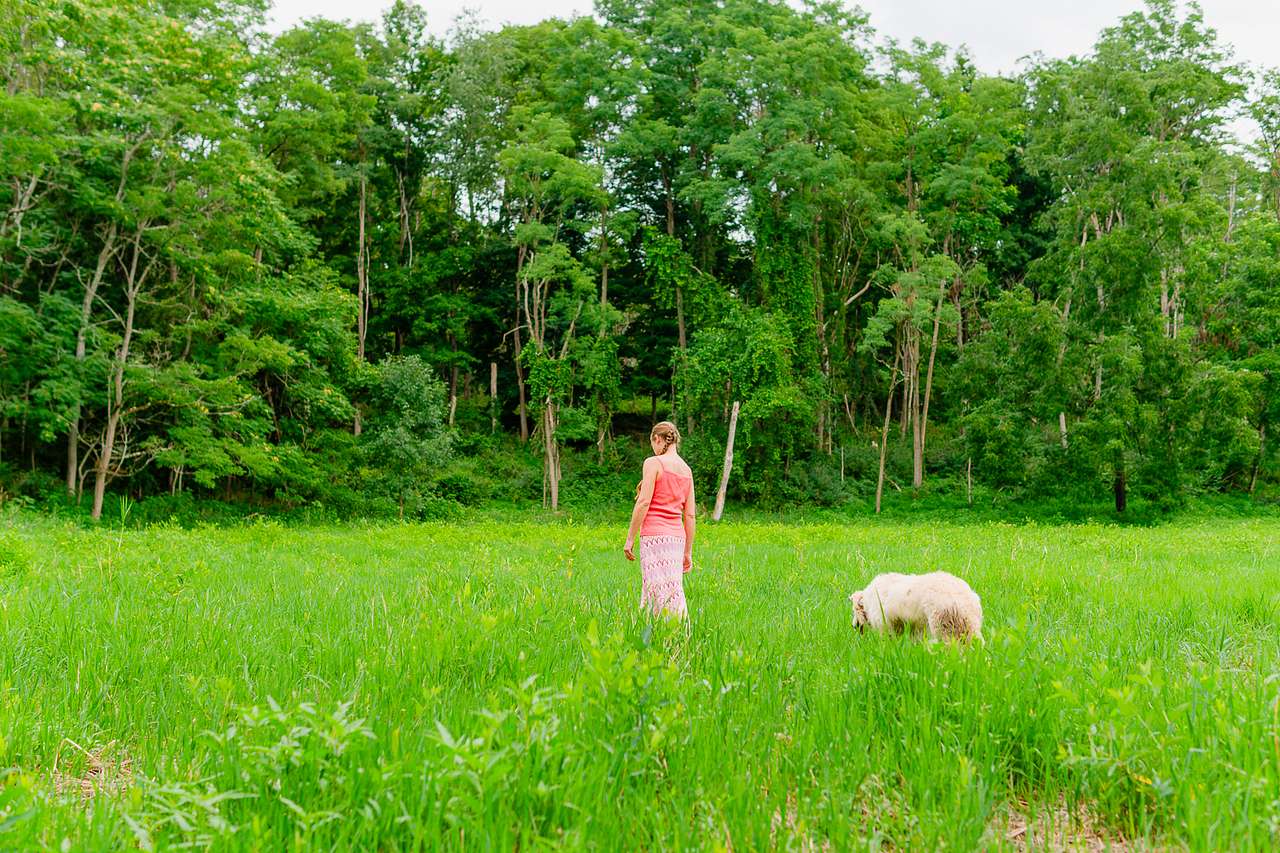 Plenty of wide open space and the friendly host dog.