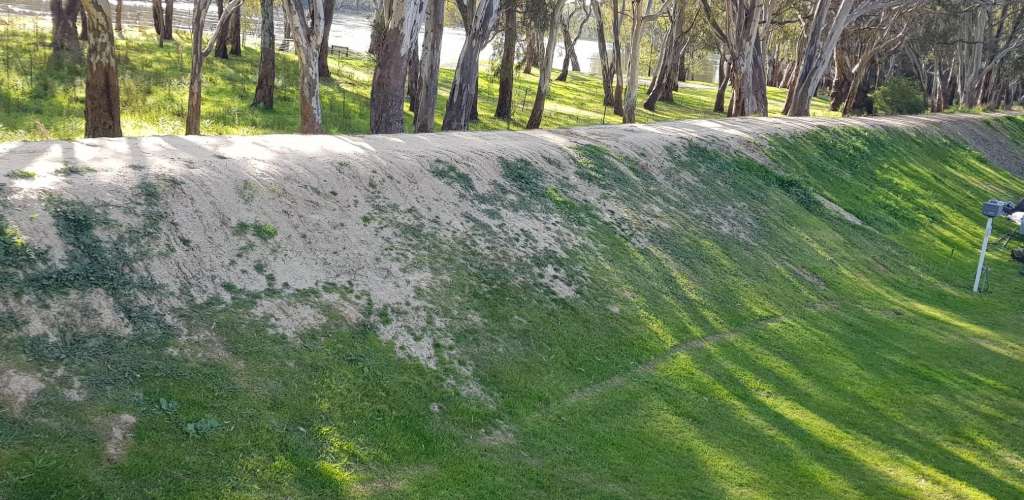 Picture of the site