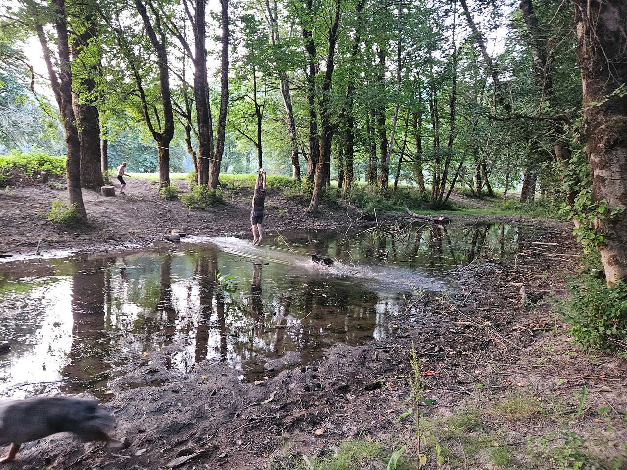 Picture of the site
