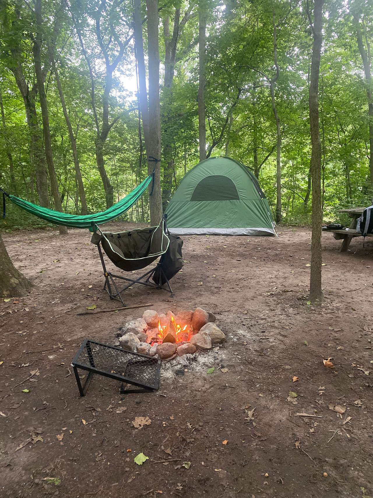 Picture of the site
