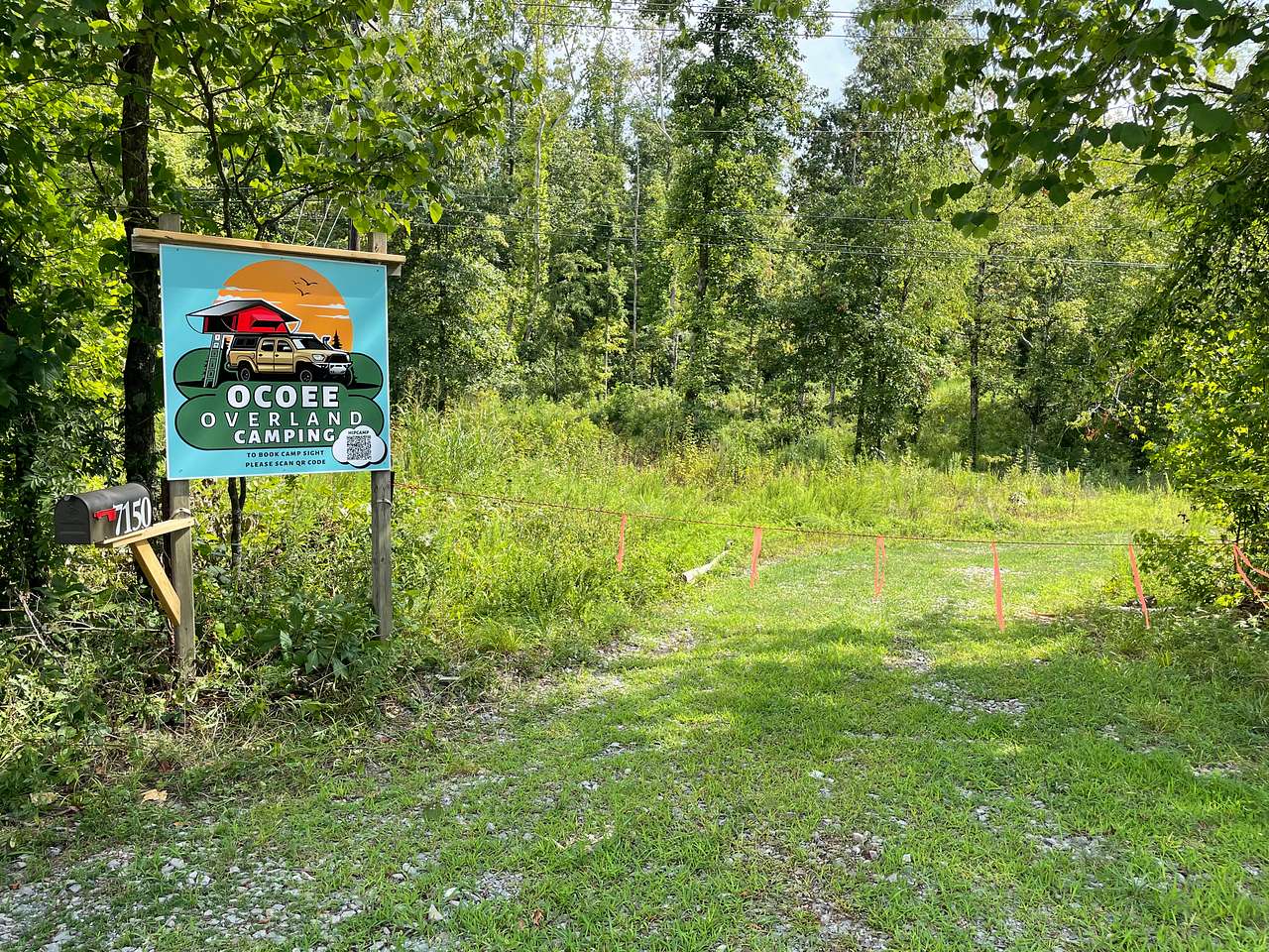 Picture of the site