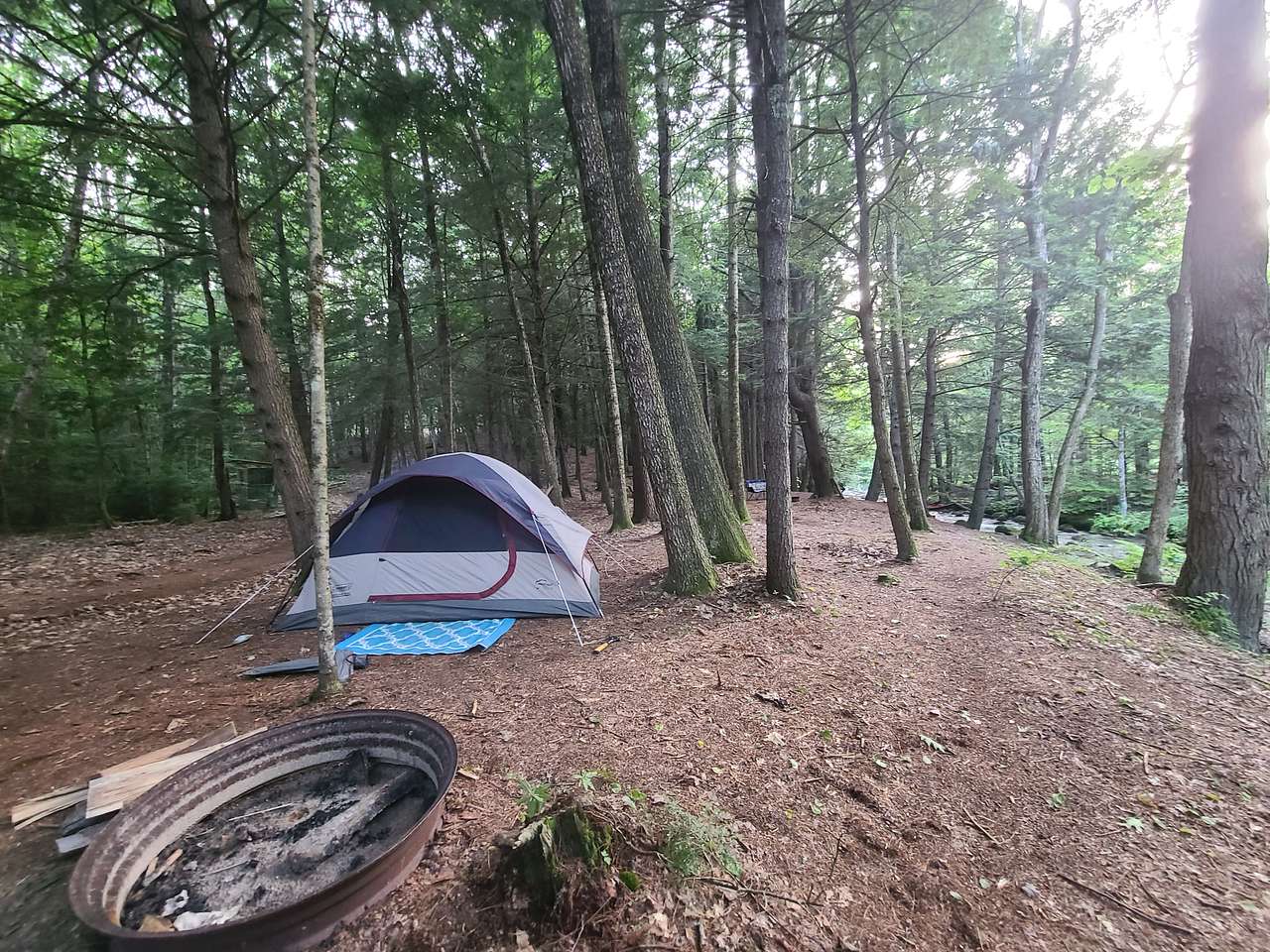 Picture of the site