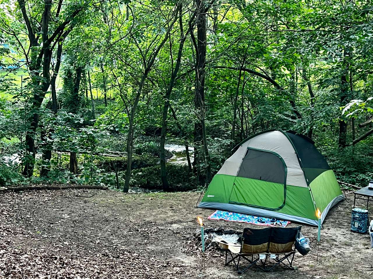 Picture of the site