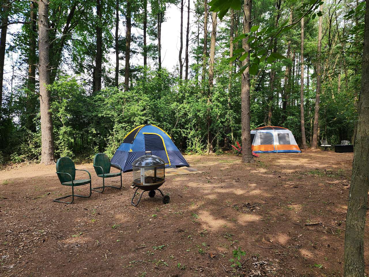 Picture of the site