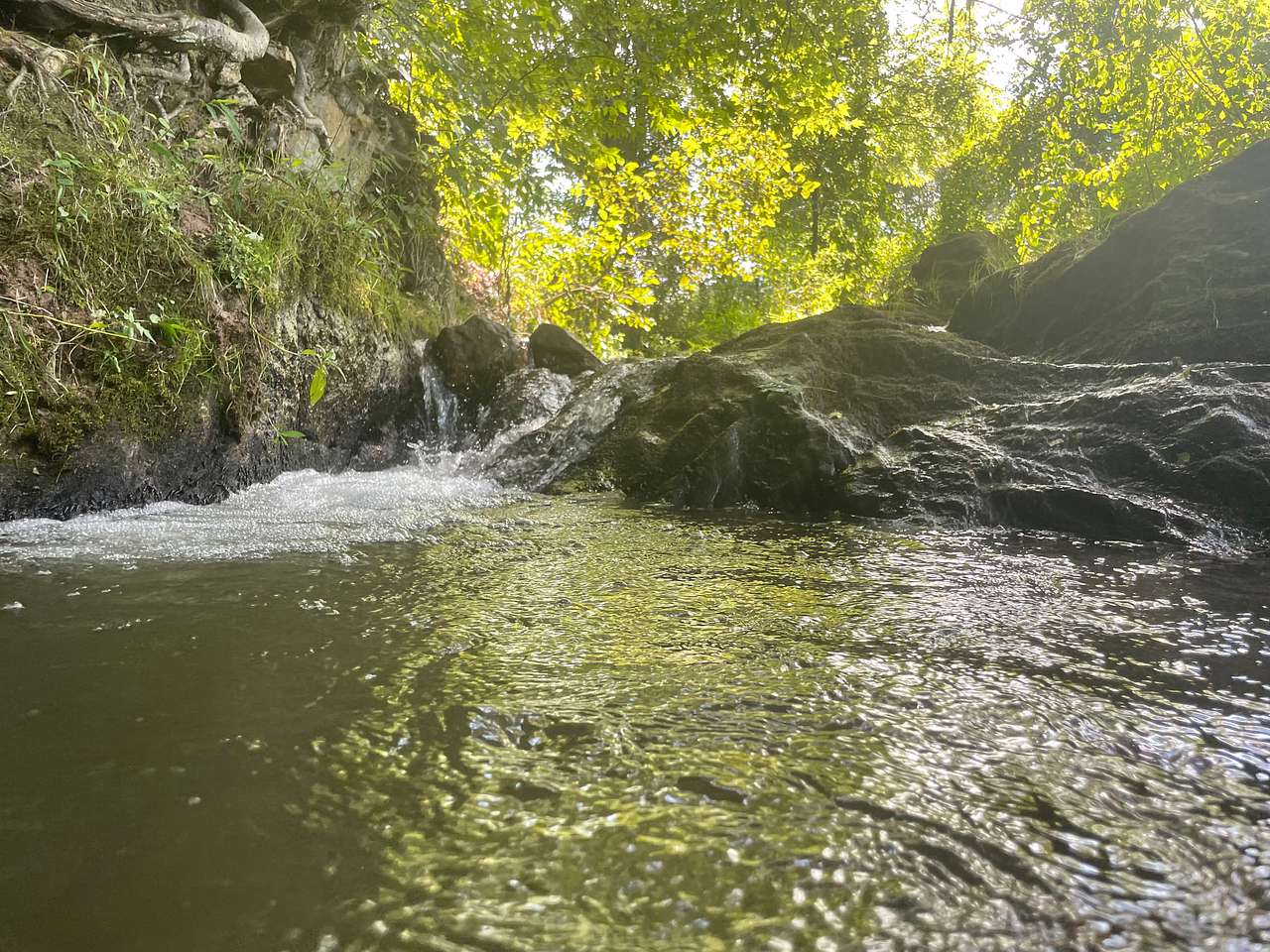 Picture of the site