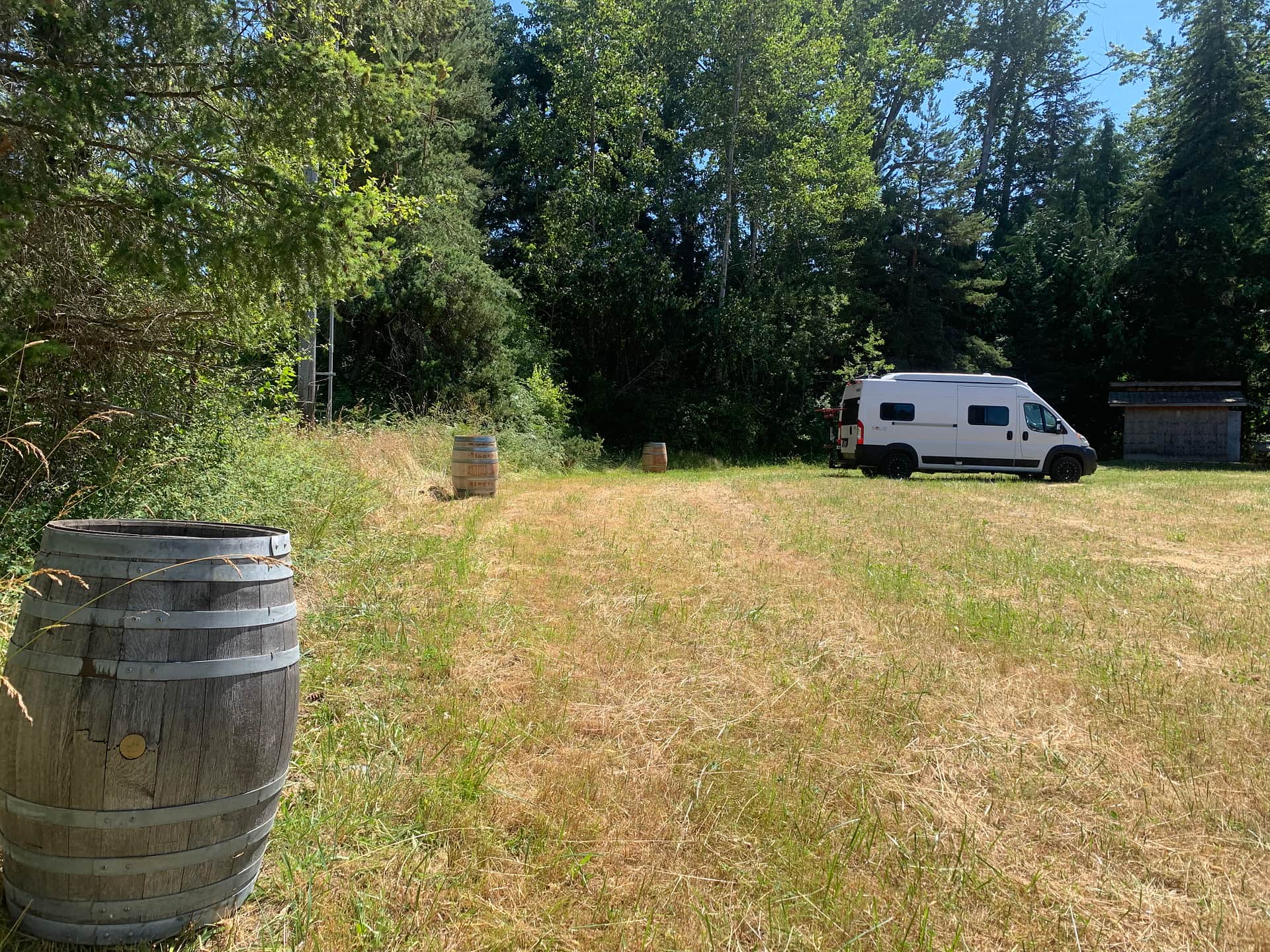 Picture of the site