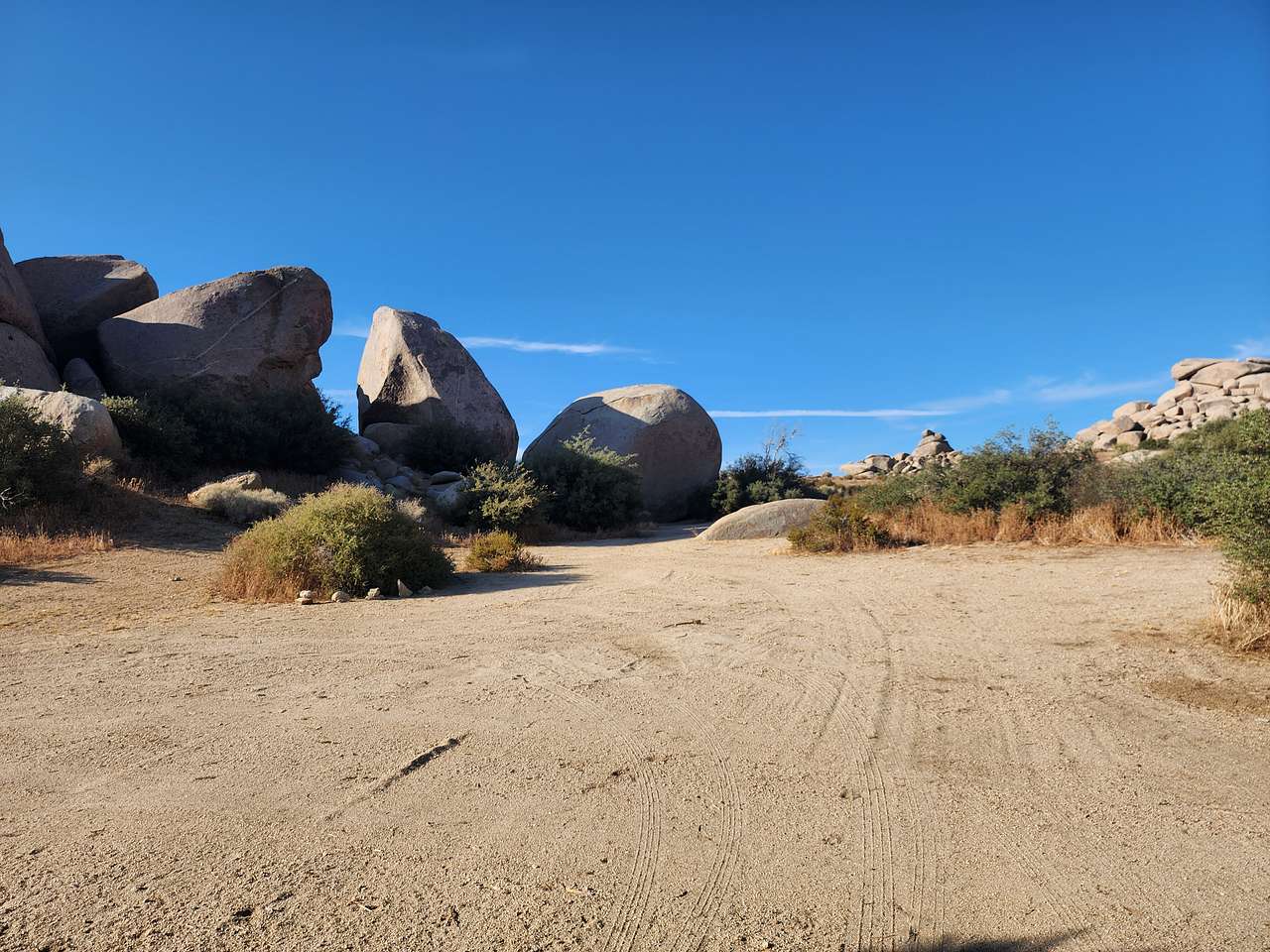 Picture of the site