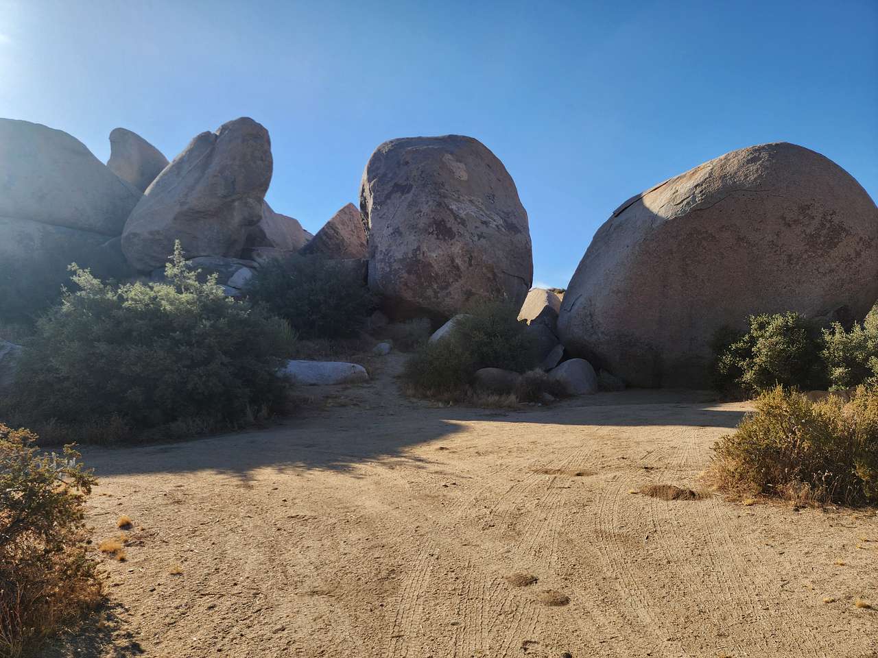 Picture of the site