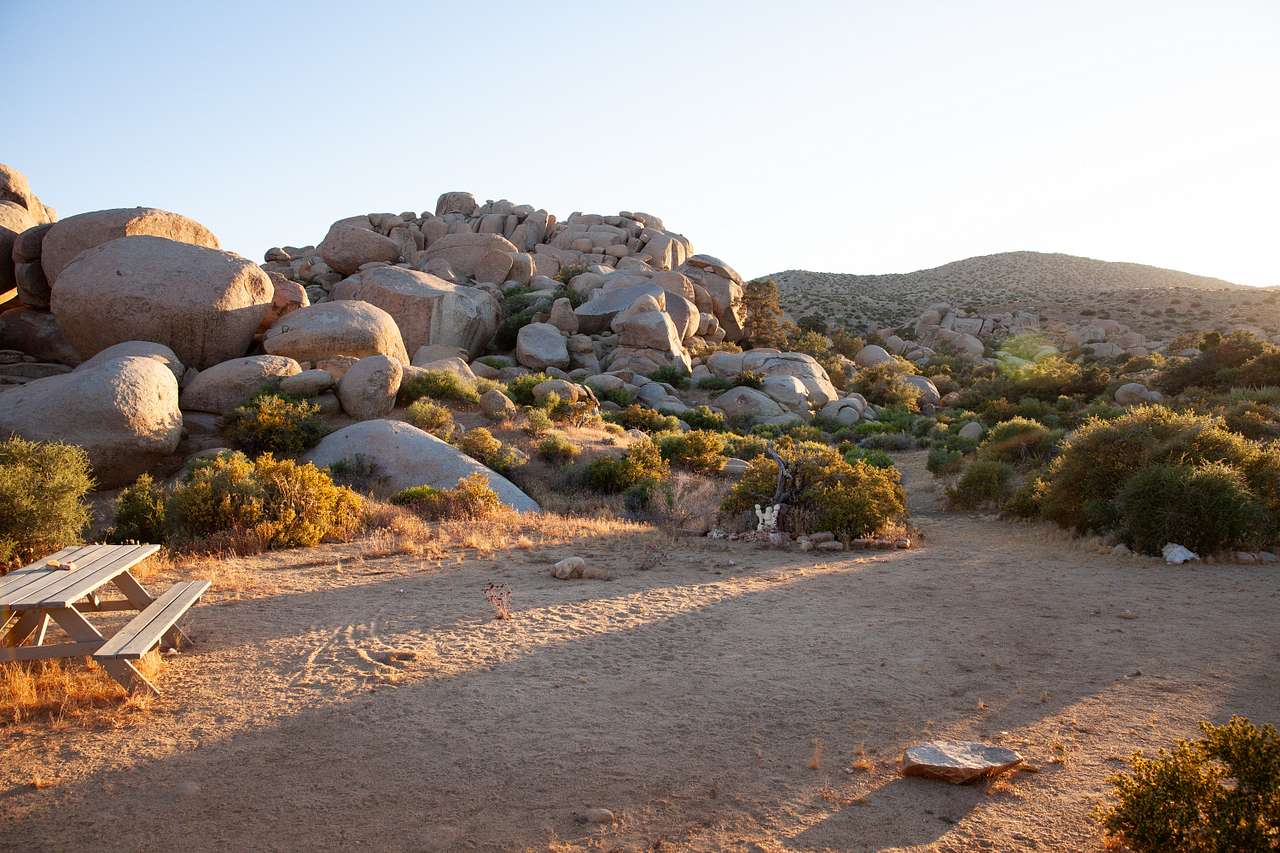 Picture of the site