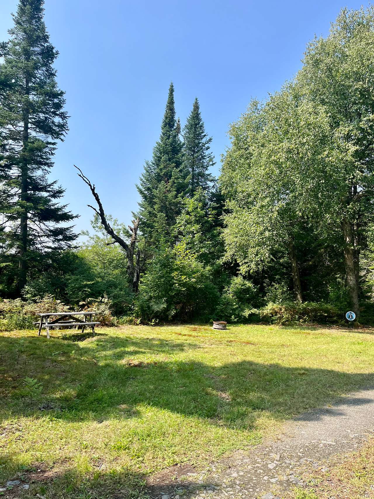 Picture of the site