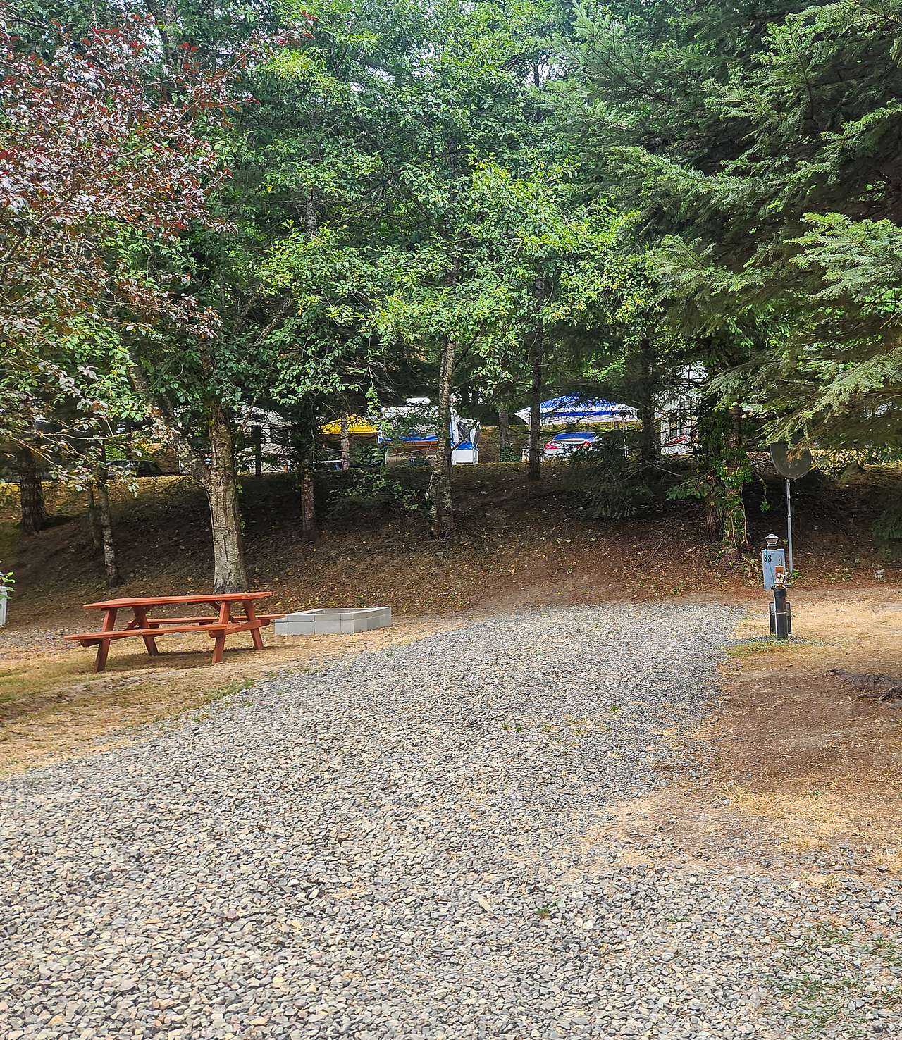 Picture of the site